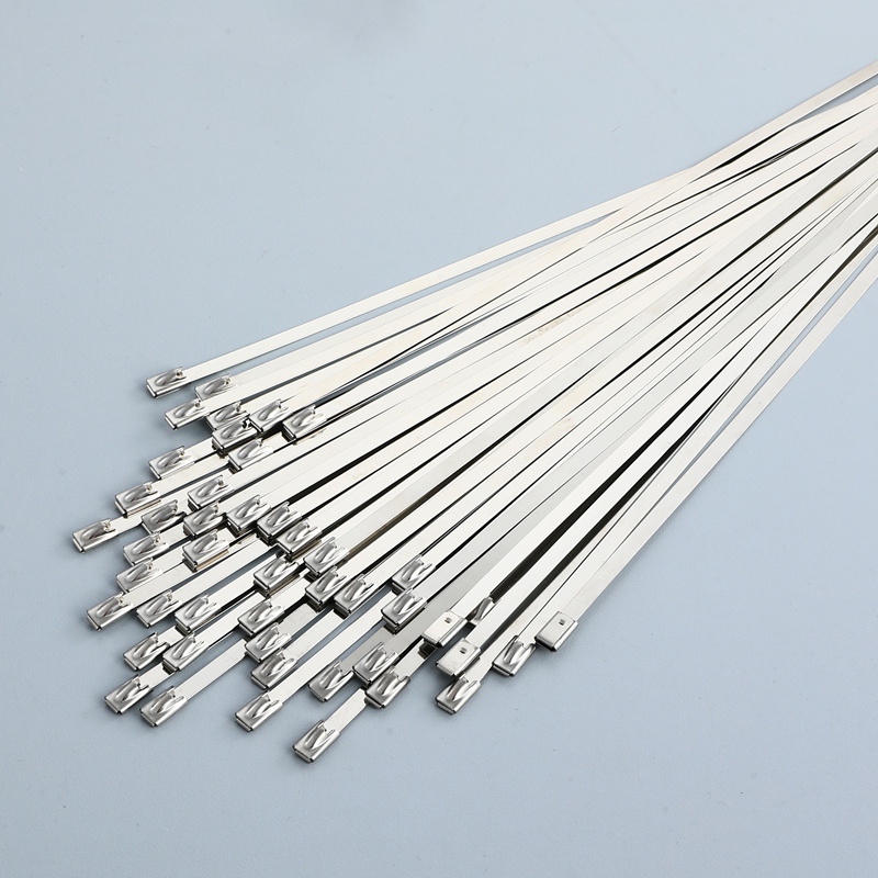 Uncoated Cable Tie Ball Lock with Certificate