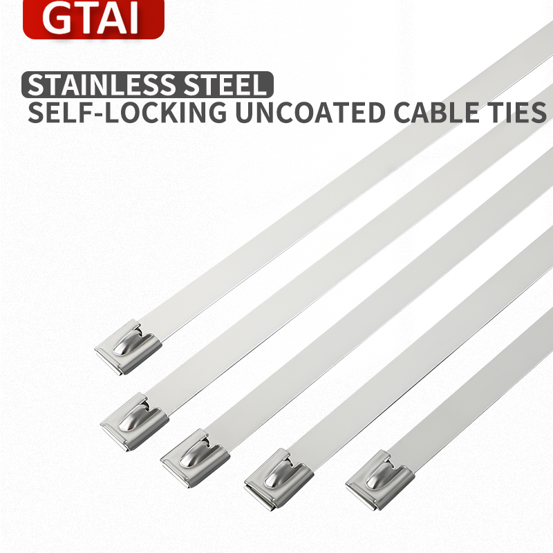 Uncoated Cable Tie Ball Lock with Certificate