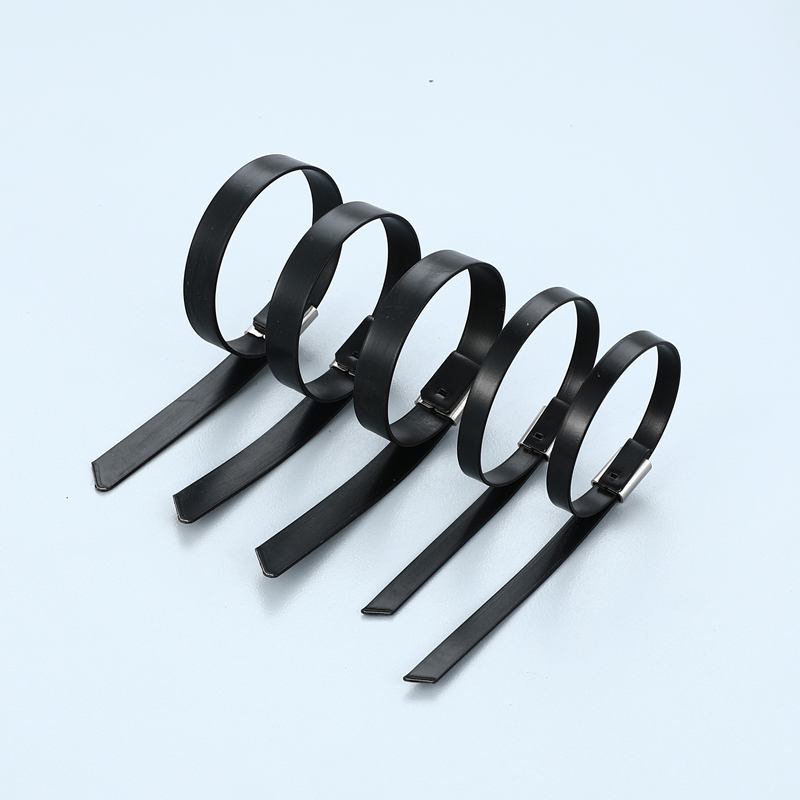 Stainless Steel Cable Tie---304 316 Ball Lock PVC Coated Tie