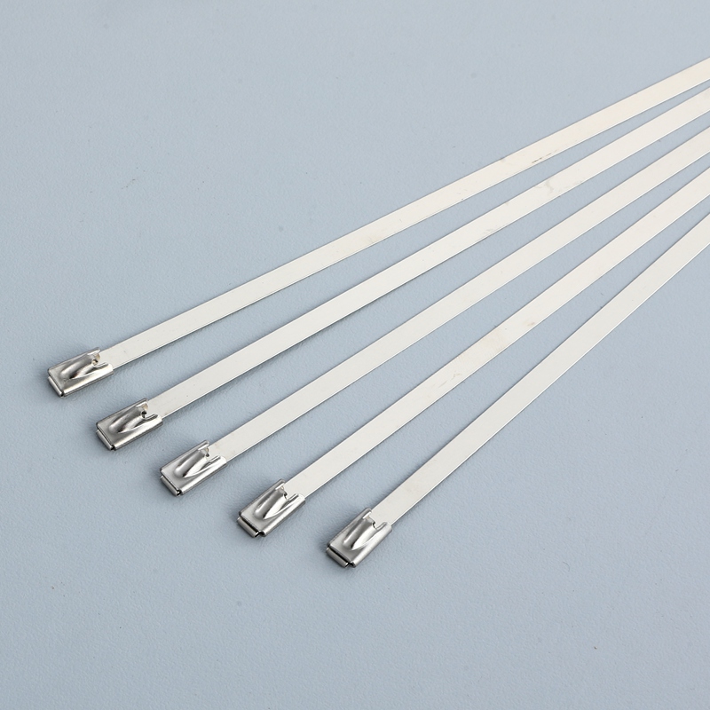 Uncoated Cable Tie Ball Lock with Certificate