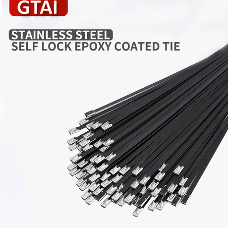 304 316 Ball Lock Epoxy Coated Tie